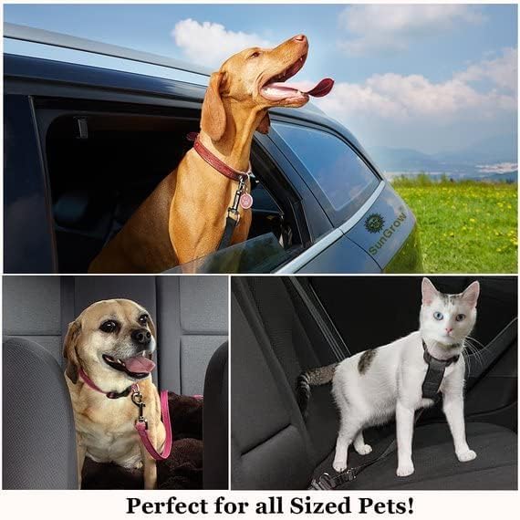 Wilsonyx™ PetTrek