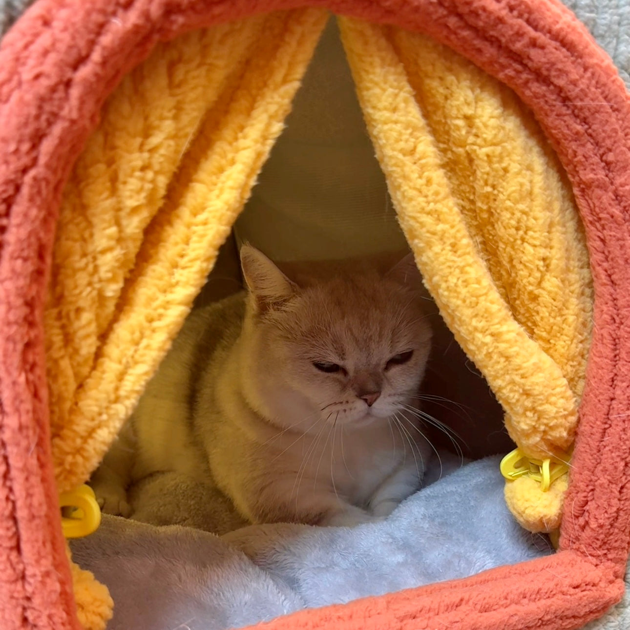 CozyNest™ Pet House